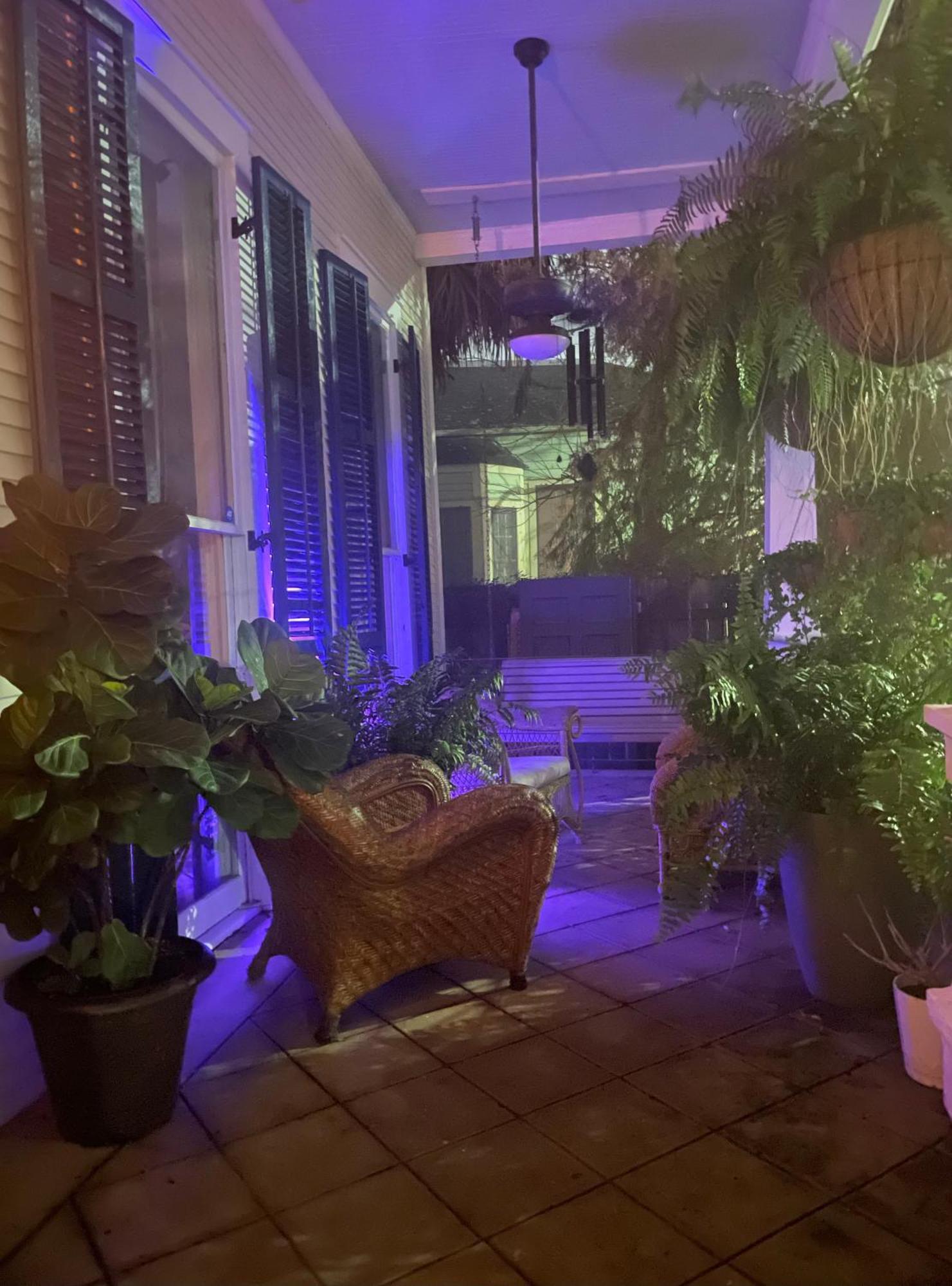 The Dragonfly Treme Guest House Nueva Orleans Exterior foto