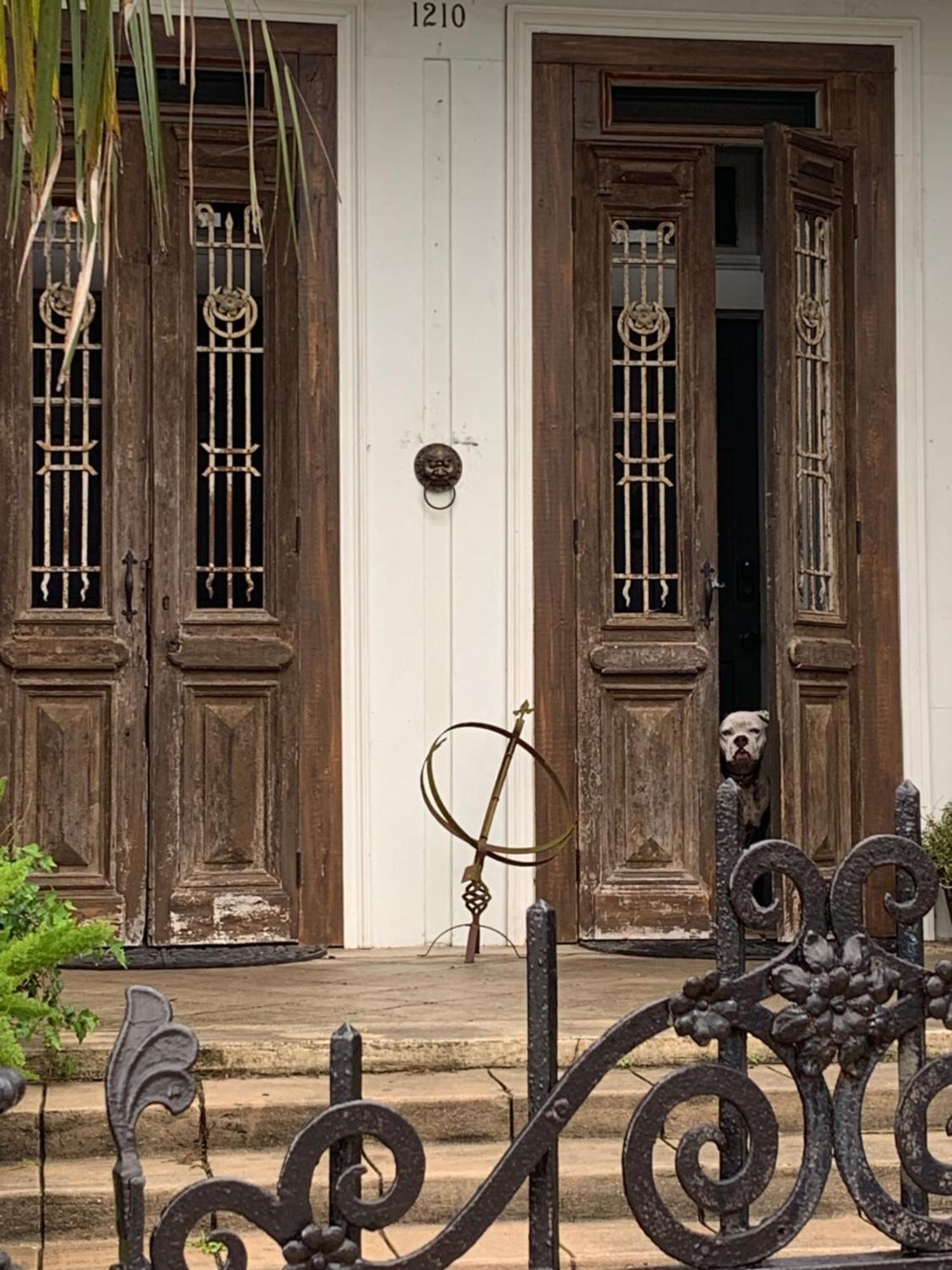 The Dragonfly Treme Guest House Nueva Orleans Exterior foto