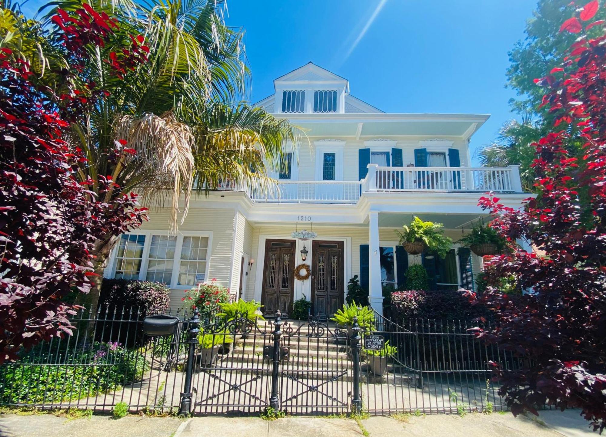 The Dragonfly Treme Guest House Nueva Orleans Exterior foto